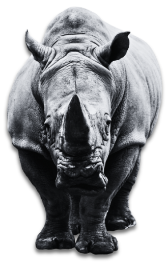 MojoRhino silhouette representing strong SEO services for Texas law firms.